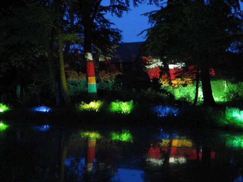Let There Be Light Challenge - Day 7