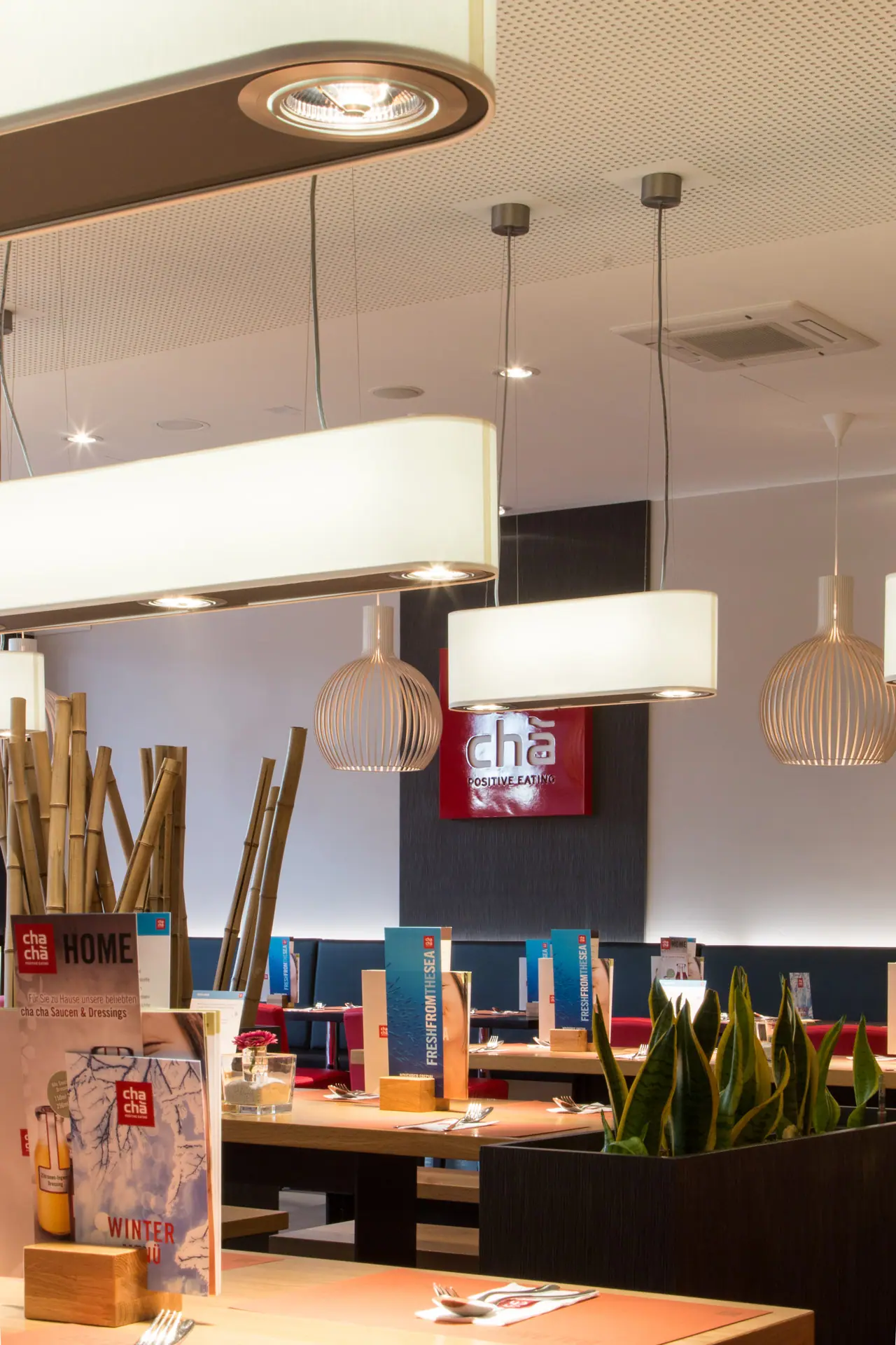 Chacha | Pendant luminaire